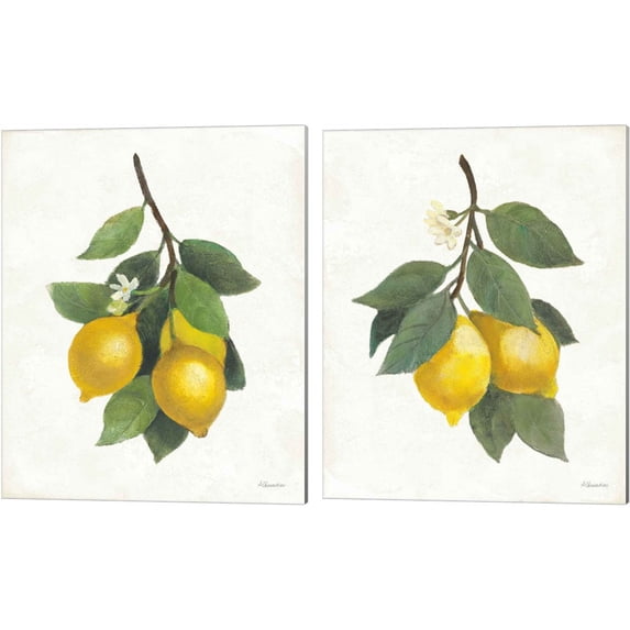 Great Art Now Lemon Branch by Albena Hristova 2 Piece Canvas Art Set Each 12"W x 15"H