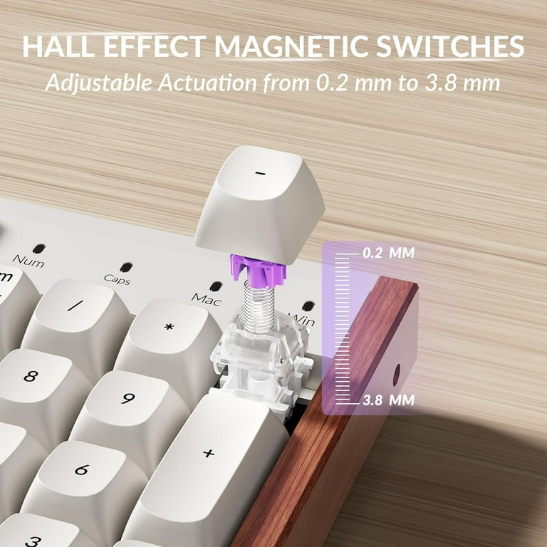 Keychron K10 HE 100% TKL Wireless RGB Hall Effect Magnetic Switch