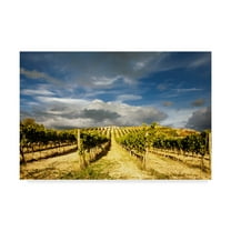 Trademark Fine Art 'Rustic Italy 7' Canvas Art by Maciej Duczynski