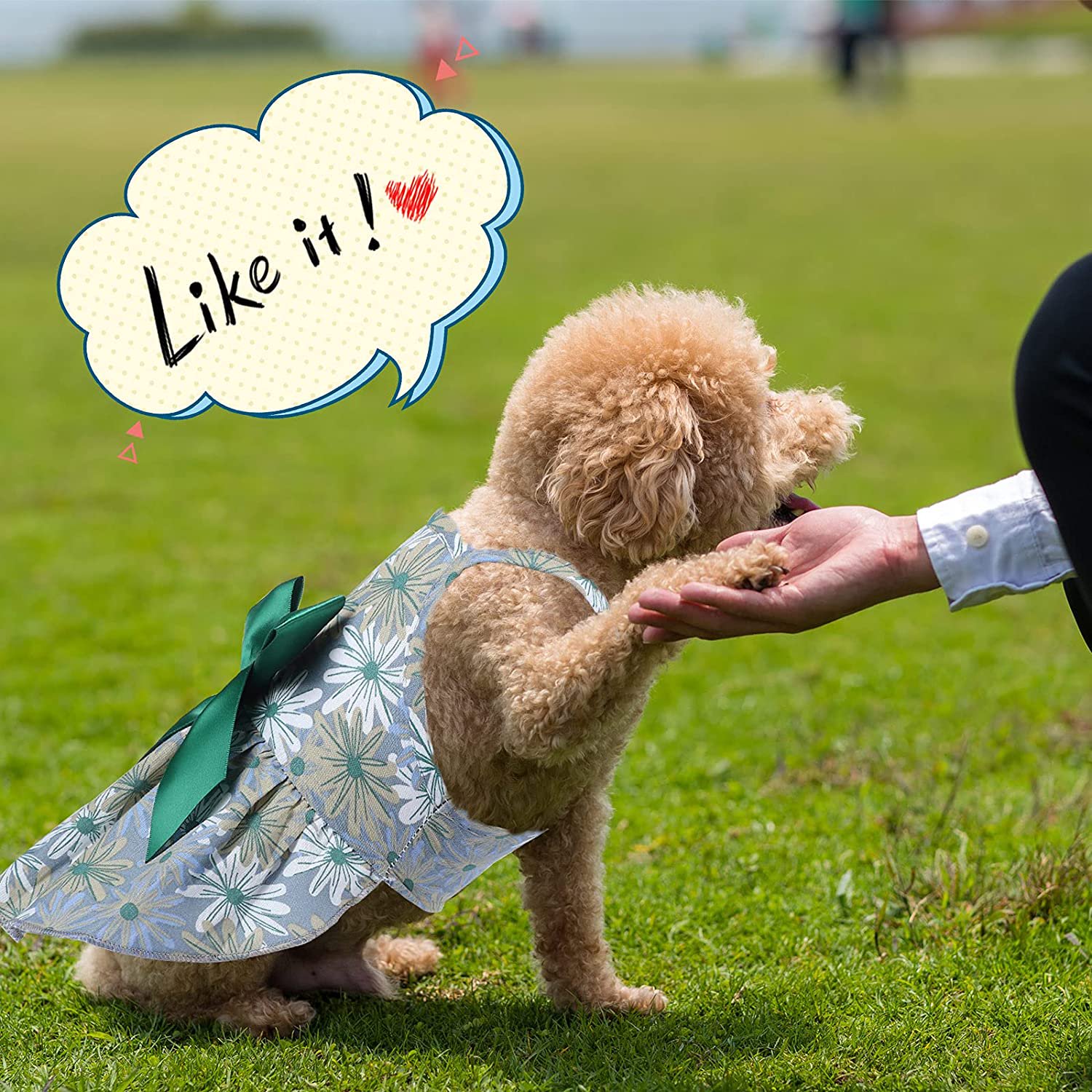 Lucoss Cute Dog Dress Summer PET Puppy Clothes Soft and