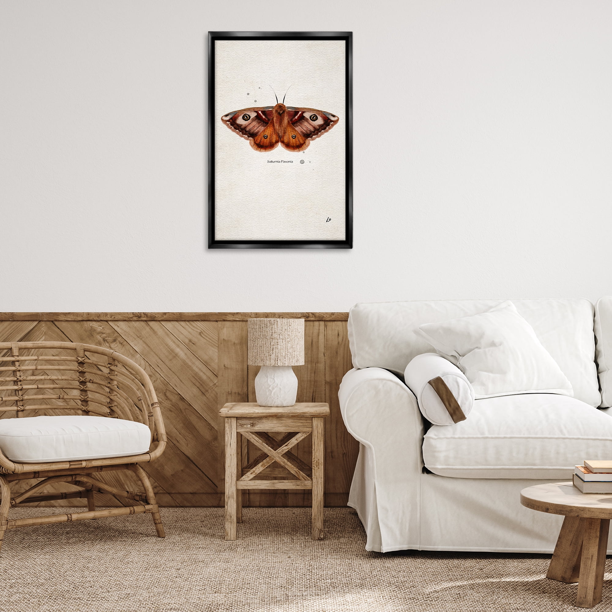 Stupell Industries Scientific Orange Moth Insects Painting Black Floater Framed Canvas Art Print Wall Art, 21 x 31