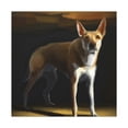 thumbnail image 1 of Dingo Dreams in Color - Canvas, 1 of 10