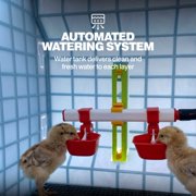 Hatching Time Chick Brooder - 2 Section H:15 (Power-Washable, Durable, ABS Plastic) | Ciimuka