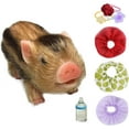 thumbnail image 2 of Xihbxyly Mini Cerdito, Juguete Realista para Recién Nacidos, Material Suave, Regalo de Navidad, Educación Preescolar, Adorable Compañero Cerdito., 2 of 2