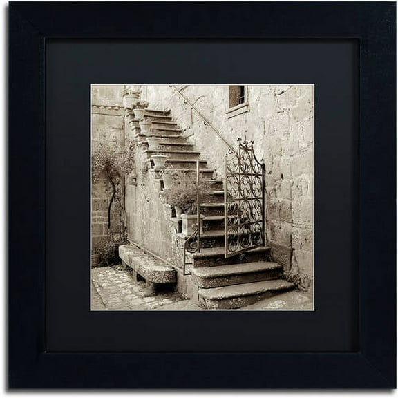 Trademark Fine Art "Umbria Scala I" Canvas Art by Alan Blaustein, Black Matte, Black Frame