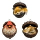 thumbnail image 1 of Adornos de avellana de bosque de resina - Decoración de 3 animales dormidos para árbol de Navidad - Búho, Conejito, Erizo - 3,14 pulgadas, 1 of 8