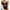 Black womens swimsuits, variant on SEMPAI 2024 New Women Swimsuits Wrap Swimwear Fashionable Swimsuit Tankini Set Bikini Swim Suits,Plus Size Bathing Suit Women's Swimsuits
