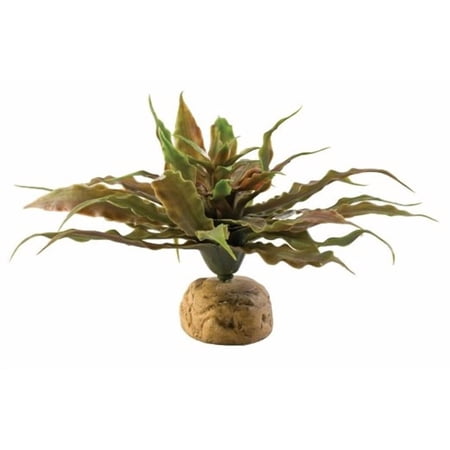 Exo Terra Star Cactus Terrarium Plant