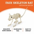 thumbnail image 3 of Faux Skeleton Rat Decoration, 7", Halloween by Way To Celebrate, 3 of 6