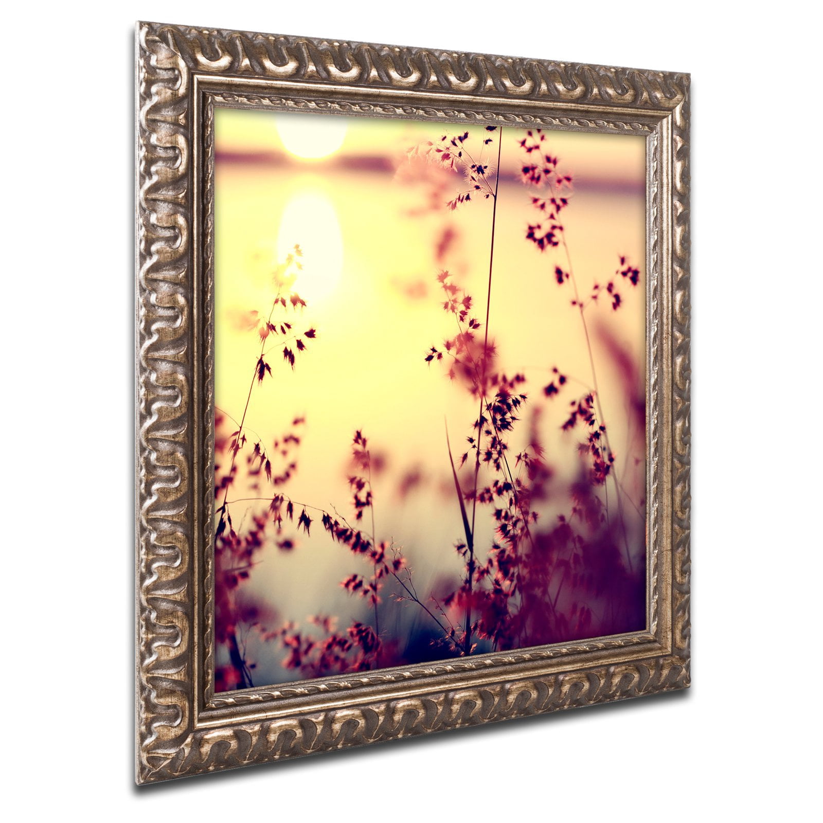Trademark Fine Art "At the End of the Day" Canvas Art by Beata Czyzowska Young, White Matte, Black Frame
