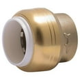 thumbnail image 1 of Cash Acme UIP518A Shark Bite PVC Cap 0.75 in. Ips Rt Lead Free Bag, 1 of 1
