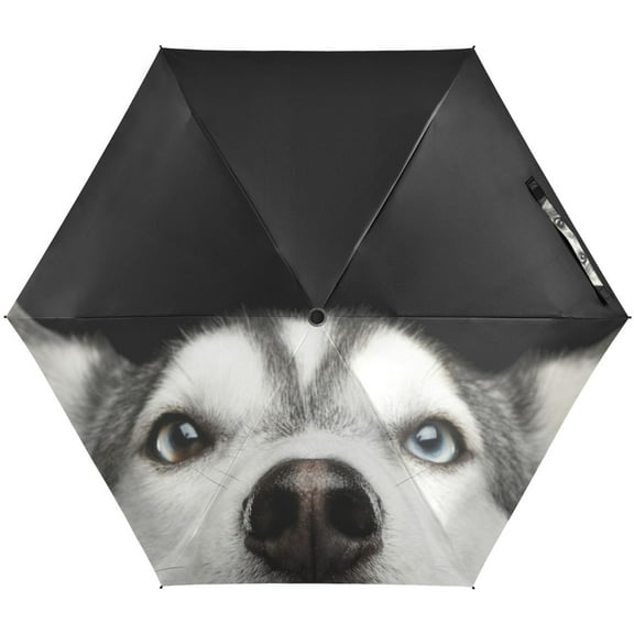 JSTEL Head Of Peeking Siberian Husky Dog Fun Folding Umbrella for Rain Sun Travel Mini Lightweight Compact Umbrellas