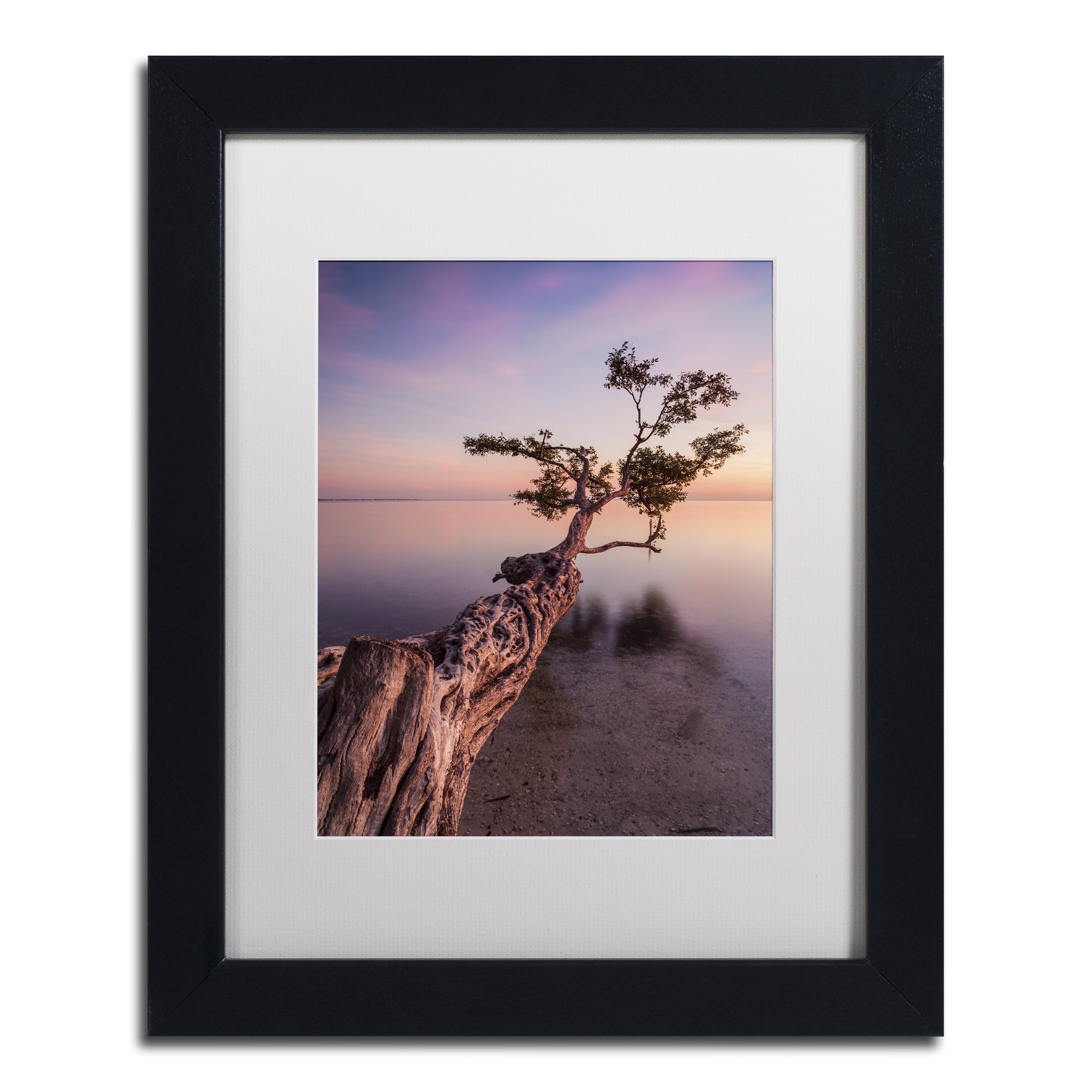 Moises Levy 'Water Tree IV' Matted Framed Art