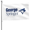 thumbnail image 2 of Toronto Baseball GS 4 Double-Sided 5x8 FT Flag (Pole Not Included), Bluebird Flag Quick-Drying Fade-Resistant with Metal Grommets Ztf3060, 2 of 8