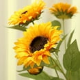 thumbnail image 7 of Visland 4PCS Vintage Sunflowers Artificial Flowers Silk Long Stem Sunflower Arrangement Fall Sunflowers Decorations for Home Wedding Party Birthday, 7 of 7