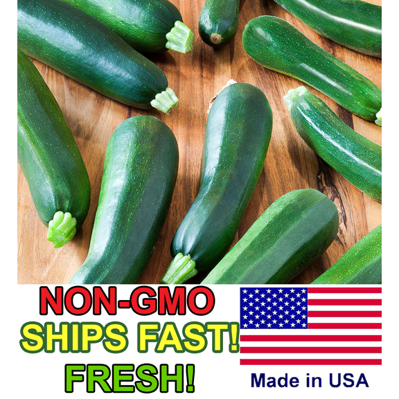 25  Zucchini Squash Seeds | Non-GMO | Heirloom | Fresh Garden Seeds from USA