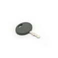 Arnold Universal Lawnmower Replacement Ignition Key IK100