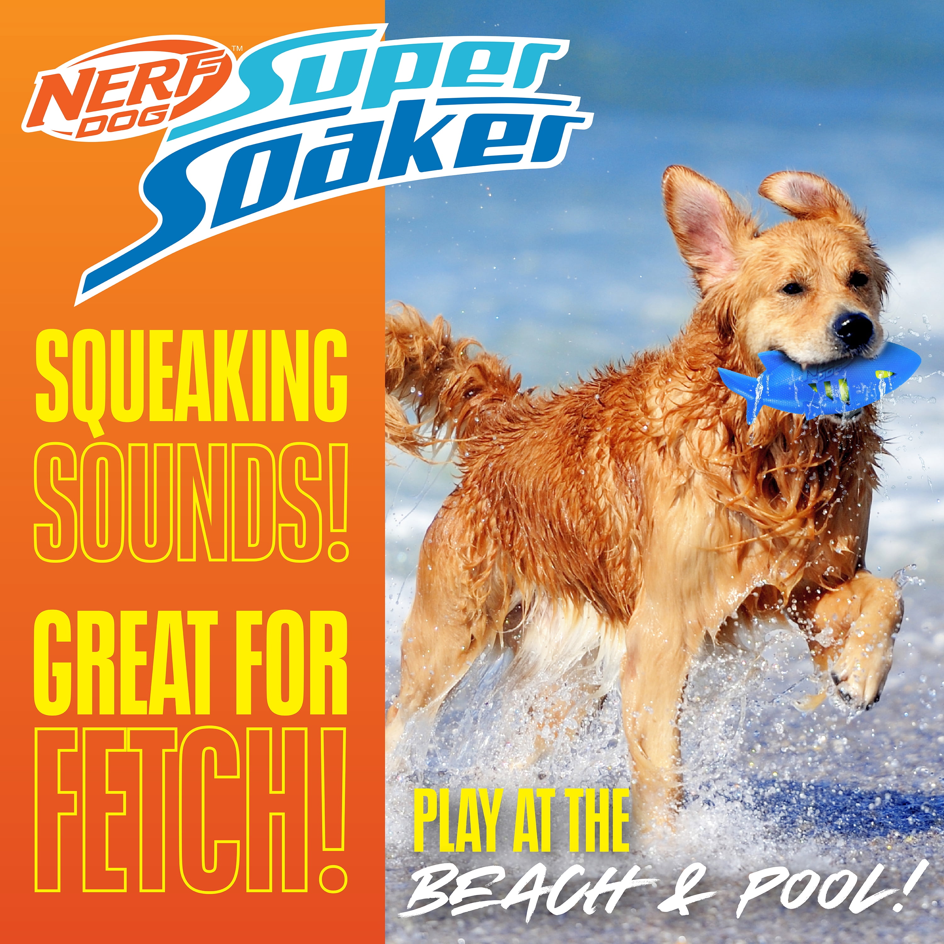 Nerf Dog Shark Football Dog Toy with Water-Soaking Squeak, Blue, 7 inch