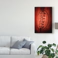 thumbnail image 3 of Trademark Fine Art 'Leather' Canvas Art by Philippe Sainte-Laudy, 3 of 4
