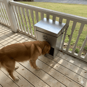 وحدة تغذية الكلاب Pet Lodge Chow Hound بوزن 50 رطلاً - مقاومة للمضغ أوتوماتيكية من الفولاذ المجلفن