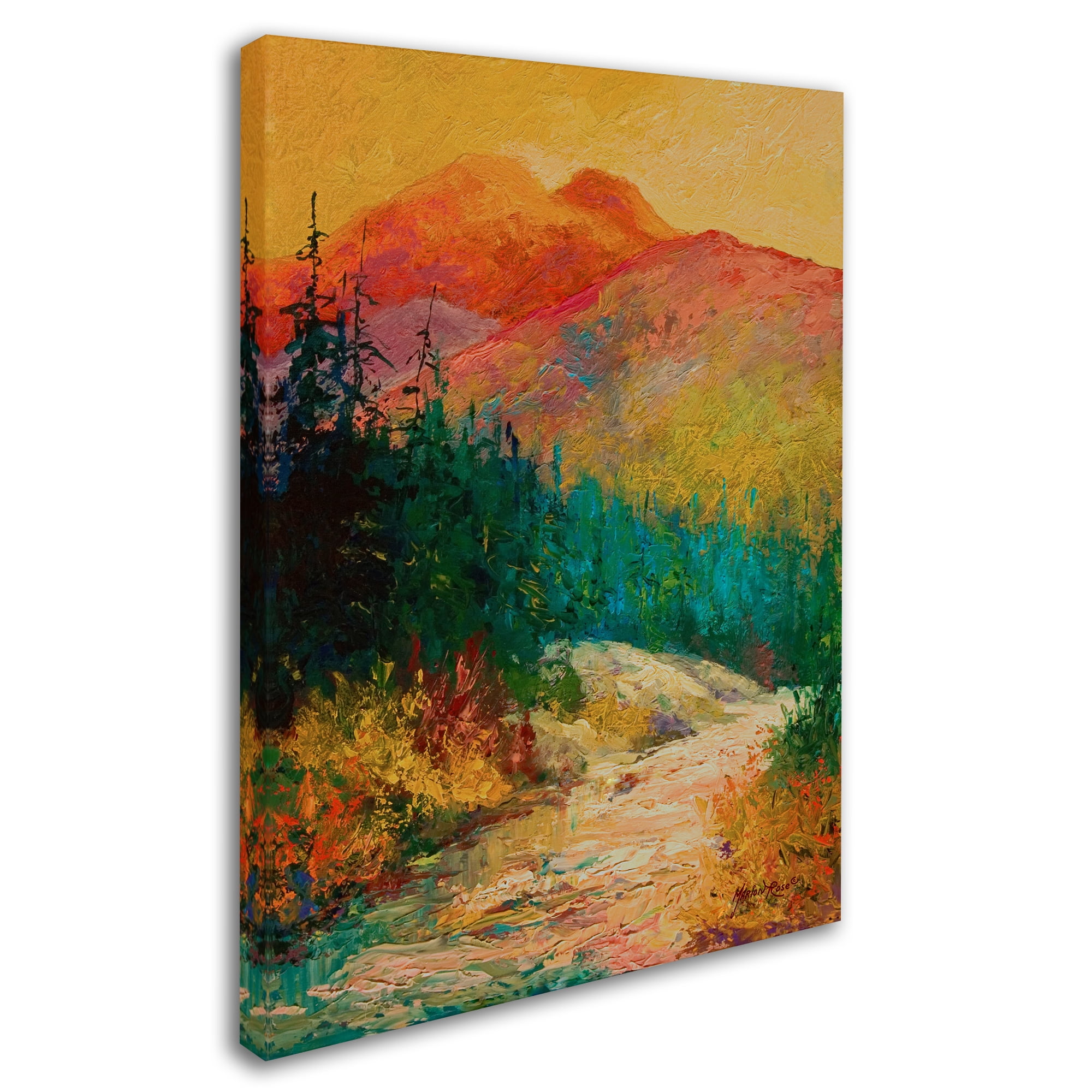 Trademark Fine Art 'Northern Essence Ak' Canvas Art by Marion Rose