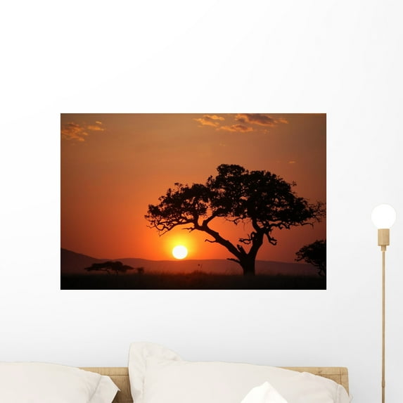 African Sunset Wall Mural by Wallmonkeys Peel and Stick Graphic (24 in W x 16 in H) WM216071