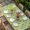 Green, variant on Spring Flowers Table Cloths for 8 Foot Rectangle Tables, Pink Yellow Wildflowers Pastoral Botanical Blue Patio Waterproof Elastic Fitted Tablecloths, Washable Rectangular Table Cover for Camping