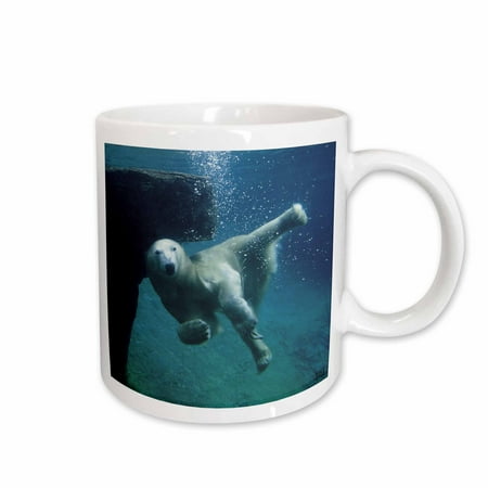 

3dRose Polar Bear Swimming Ceramic Mug 11-ounce