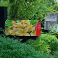 thumbnail image 6 of Mailbox Cover Standard Passion Flower Magnetic Mail Covers Wrapped Letter Post Box Perfect for Outdoor Display 21×18 Inch Hawaiian Frangipani Bright Spring Blooming,Postbox Letterbox Cover, 6 of 6