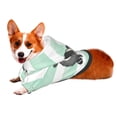 thumbnail image 2 of Bingfone Cute Raccoon Dog Clothes Hoodie, Pet Winter Coat,Puppy Sweatshirts For Small Dogs Boy Girl,Suitable For All Breeds-Medium, 2 of 9
