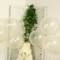thumbnail image 5 of Efavormart 10 Pack Clear Biodegradable Balloons, Eco-friendly Thickened Extra Strong Latex Helium Party Balloons - 18", 5 of 9