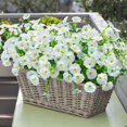thumbnail image 2 of Flores artificiales Ivydale White Silk Morning Glory, 12 paquetes, 2 of 9