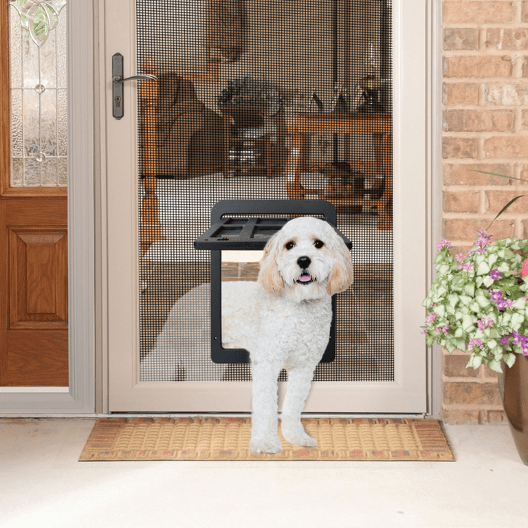 Auto dog door online