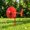 Red, variant on PLPPYFS Mini Plastic Windmill Weather Vane Plant Pot Ornament, Rotatable Small Wind Direction Indicator Stake Decor, Tiny Windmill Stake for Planter Mini Garden Balcony Landscape Decor Gift