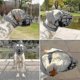 thumbnail image 5 of Soft Basket Muzzle For Dogs Secure And Comfortable Fit, Better Prevent Bites, Chewing And Barking Muzzle, 5 of 5