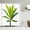 ndhd6031, variant on Green Leaf Plant Cactus Printing Shower Curtains Bath Curtain Waterproof Fabric 180X180cm Bathroom Decorate With 12