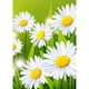 thumbnail image 1 of Cuadros Decorativos (DB3218) Flor vibrante Pintura de diamante DIY Diamante cuadrado 5D Costura (B2415) 20X30cm Tmvgtek embutido en tela, 1 of 1