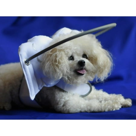 Dog House Blind - Muffin's Halo Guide for Blind Dogs, Medium - White