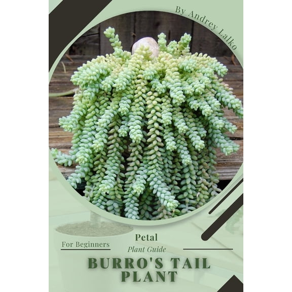 Burro's Tail Plant: Prodigy Petal, Plant Guide, (Paperback)