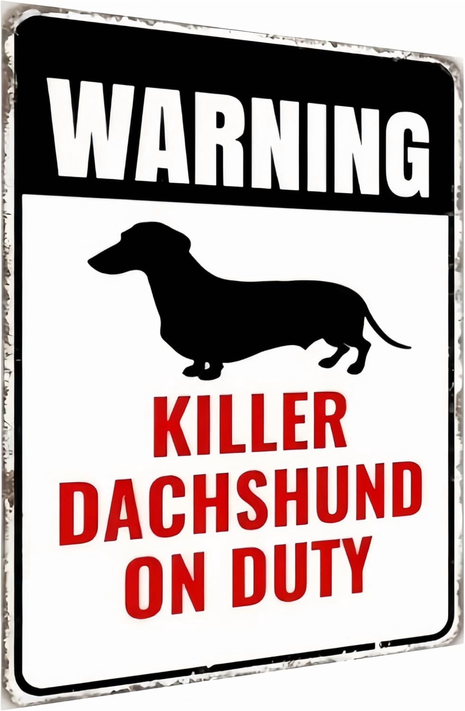 Hund Auf Dem Grundstück Schild – 25,4x35,6 Cm, Wetterfestes Aluminium, UV-Farbe