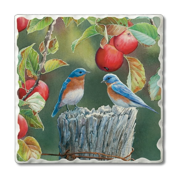 Thirstystone "Take Flight Style Ten" Single Tumbled Tile Coaster