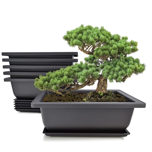 MUZHI 6PCS/Pack Retro Style Basin Plastic Flower Pot with Tray, Flower Bonsai Tree Plant Pots with Saucer for Succulent Arrangemen
