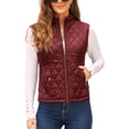 thumbnail image 1 of Sexy Dance Ladies Chaqueta acolchada Sin mangas Zip up Slim Fit Chaqueta para mujer Chaleco ligero acolchado con bolsillos, 1 of 1
