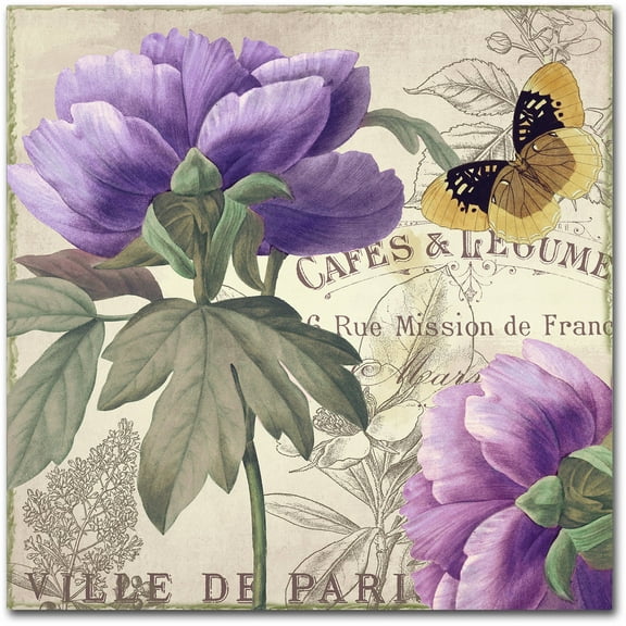 Trademark Fine Art "Petals of Paris IV" Canvas Art by Color Bakery