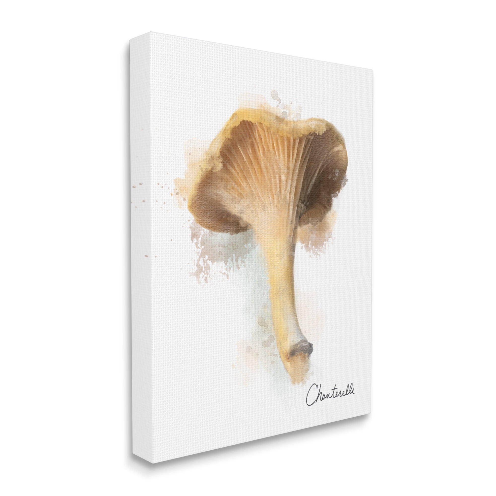 Stupell Industries Abstract Chanterelle Mushroom Botanical & Floral Painting Gallery Wrapped Canvas Art Print Wall Art, 16 x 20