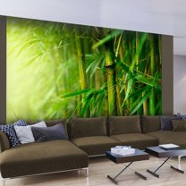 Tiptophomedecor Zen Wallpaper Wall Mural - Green Jungle Bamboo