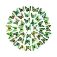 thumbnail image 3 of 200 piezas de mariposas voladoras 3D para decoración de pared, calcomanías de mariposas para pared, pegatinas de mariposas Verde, 3 of 9