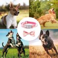 thumbnail image 5 of Collar de perro Flores de primavera precioso collar suave para perros pequeños y medianos, 5 of 5