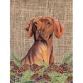 thumbnail image 1 of Drapeau Vizsla - Taille du Jardin, 1 of 1