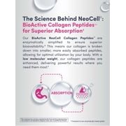 Advanced Collagen Peptides Powder with Vitamin C and Hyaluronic Acid | Unflavored | 6.9 oz | by NeoCell